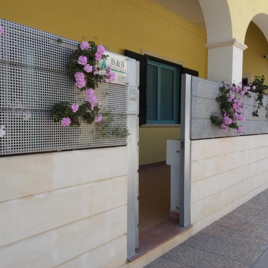 Araucaria Bed & Breakfast Torre San Giovanni Ugento Ngoại thất bức ảnh