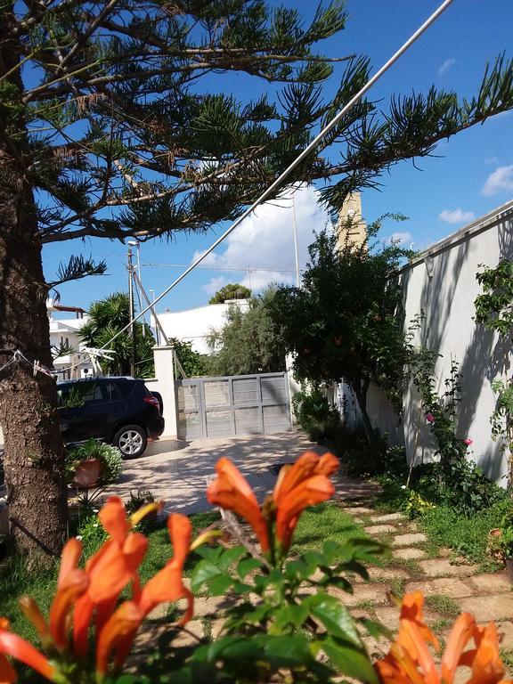 Araucaria Bed & Breakfast Torre San Giovanni Ugento Ngoại thất bức ảnh